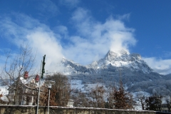 IMG_8178