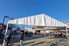 IMG-20250116-WA0021