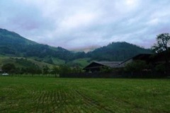 Helferessen62