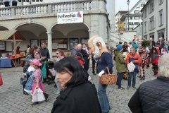 schmudo074