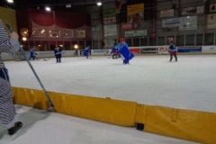 hockey027
