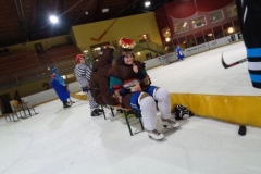 hockey028