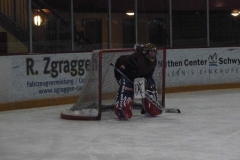 hockey038