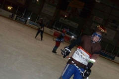 hockey040