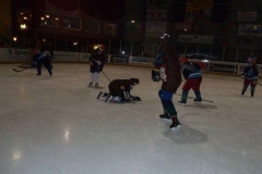 hockey042