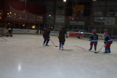 hockey043