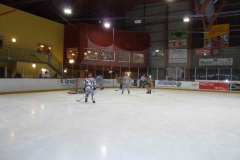 hockey046