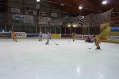 hockey048