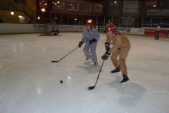 hockey050