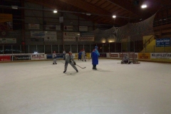 hockey065