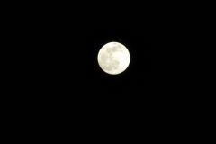 IMG_8330