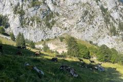 23085e0a-1a17-46cd-a503-d15cc385b4eb