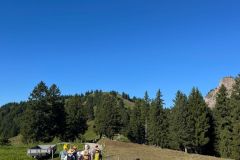 2b36e69f-2000-484c-a1e4-0591f874875c