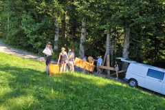 36259e3b-76a5-4a83-9a3f-498254d2a0de