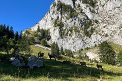 3bb3aa10-3cc4-472f-9da8-f51f3faa717f