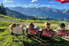 847bbd5c-f8c6-480e-8df3-9be8f37ec8fb