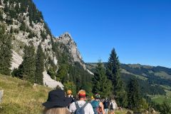 8d1381e8-49cb-4e11-9e6f-21e3be9e01f6