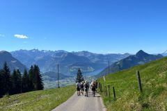 a49a1647-9081-455c-9851-0bd281708f16