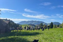 a847f6c2-a89f-44b4-8327-8854b5d408c4