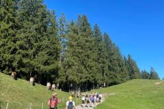 cb2ac2be-658c-4310-a432-2c87718ef059