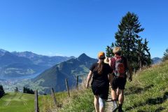 f1ff15a3-8790-4e99-bca0-9d7afb3c2a0d