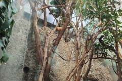 IMG20230916095209