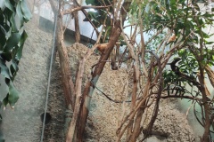IMG20230916095211