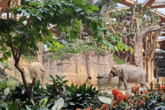 IMG20230916103940