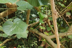 IMG20230916124135