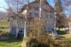 DSC07808