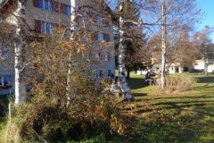 DSC07809