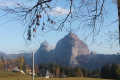IMG_1547