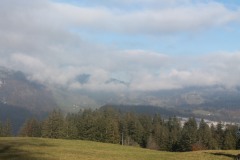 IMG_1586