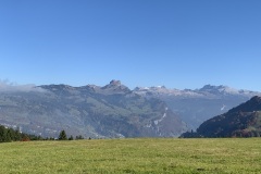 IMG_4791