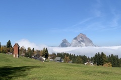 IMG_4793